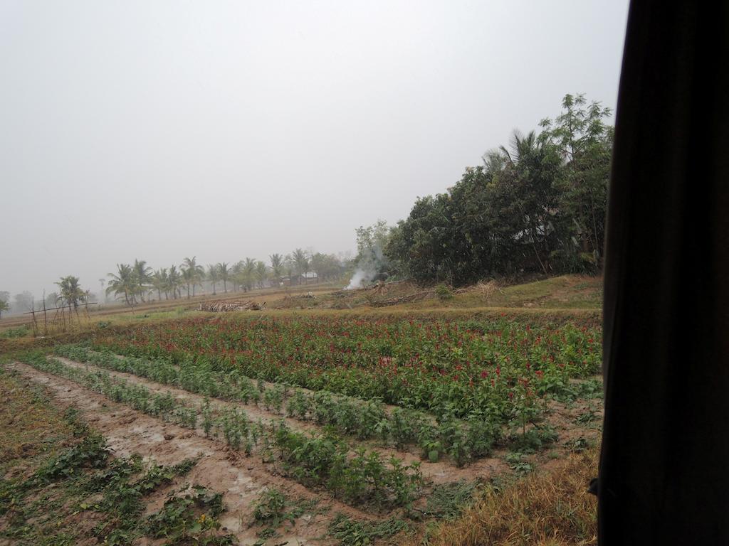 Meas Family Homestay Angk Ta Saom Exterior photo